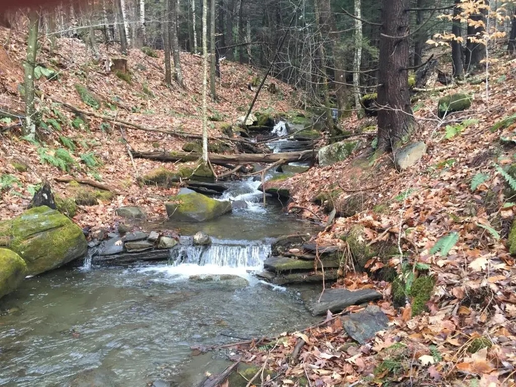 90 Reading Farms Road, Reading, VT 05062 - Image #1