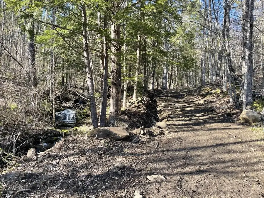 90 Reading Farms Road, Reading, VT 05062 - Image #3