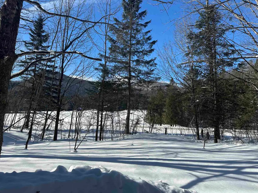 9 Dry Pond Road, Glover, VT 05839 - Image #3