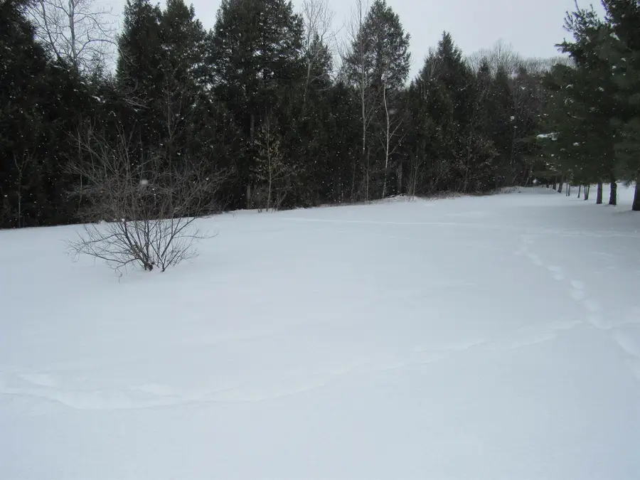 480 Hoague Drive, Highgate, VT 05459 - Image #3