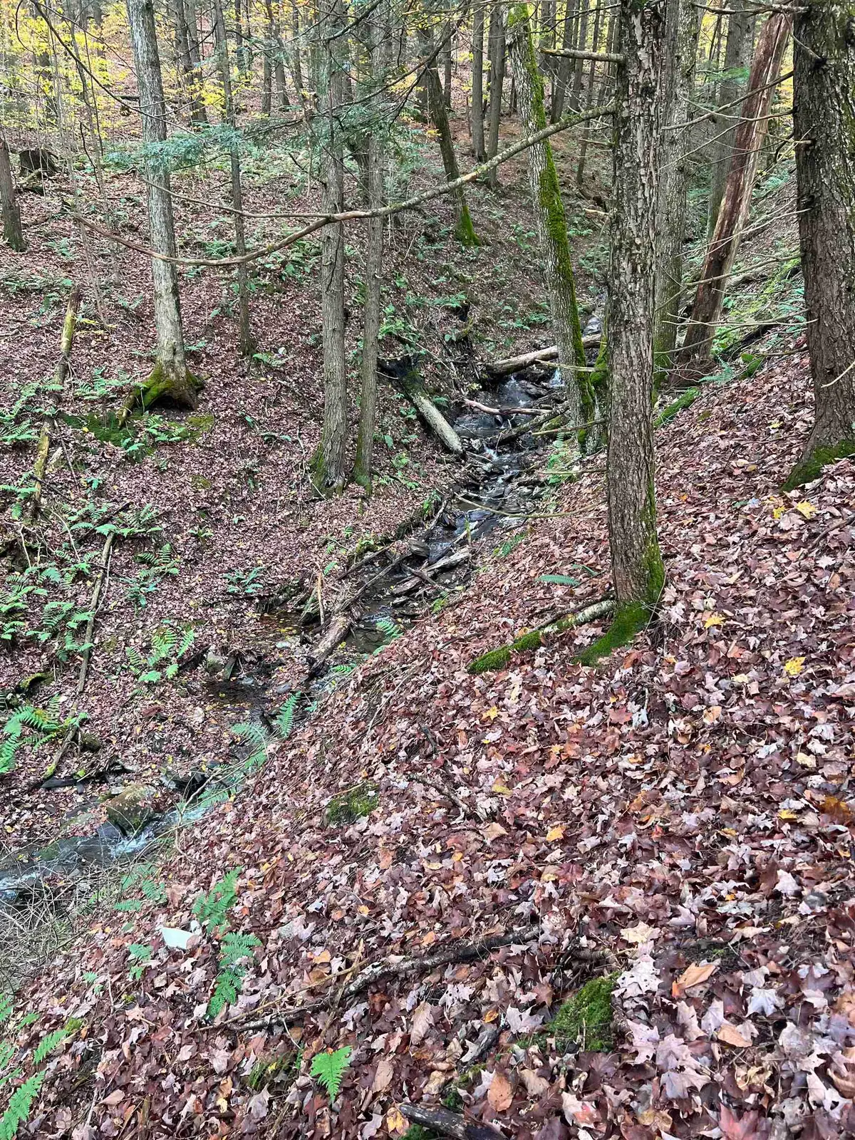 1901 Royalton Hill Road #2, Royalton, VT 05068 - Image #1