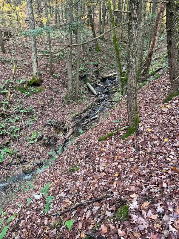 1901 Royalton Hill Road #2, Royalton, VT 05068