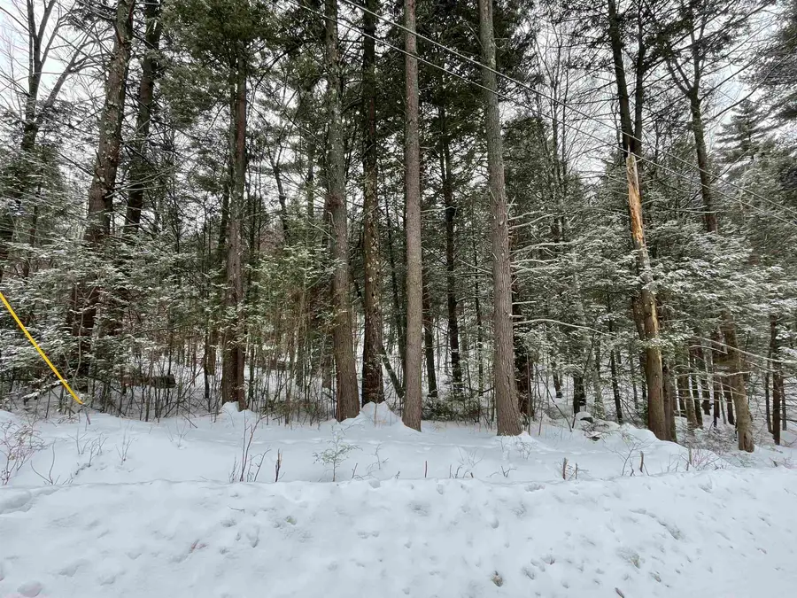000 Gibson Mountain Road, Antrim, NH 03440 - #2