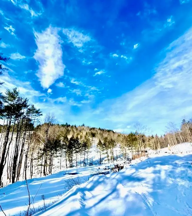 266 Tory Hill Road, Langdon, NH 03602 - Image #2