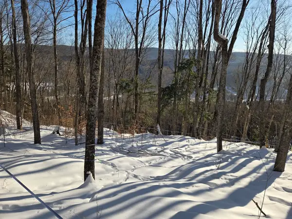 0 Route 66, Randolph, VT 05060