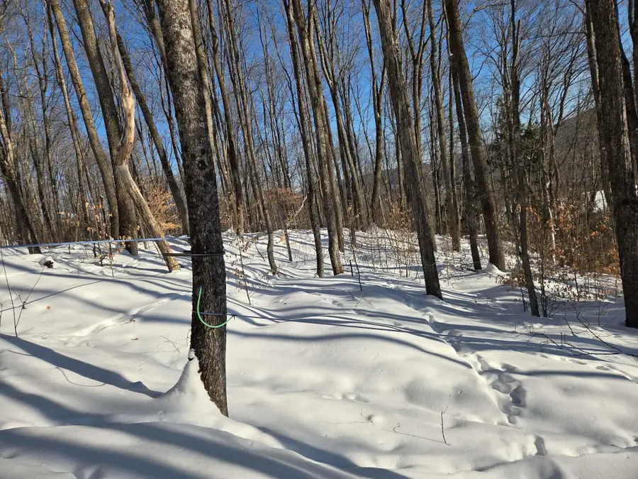 0 Route 66, Randolph, VT 05060 - #2