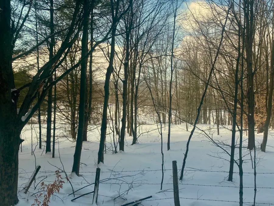 90 VT Route 140, Tinmouth, VT 05773 - #2