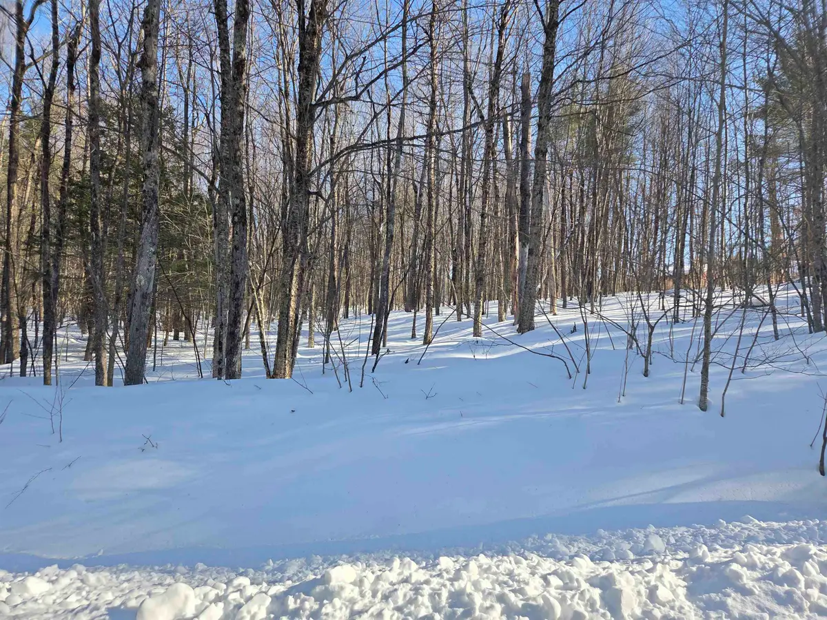 164 18-3 Mason Road, Milton, NH 03851 - #1