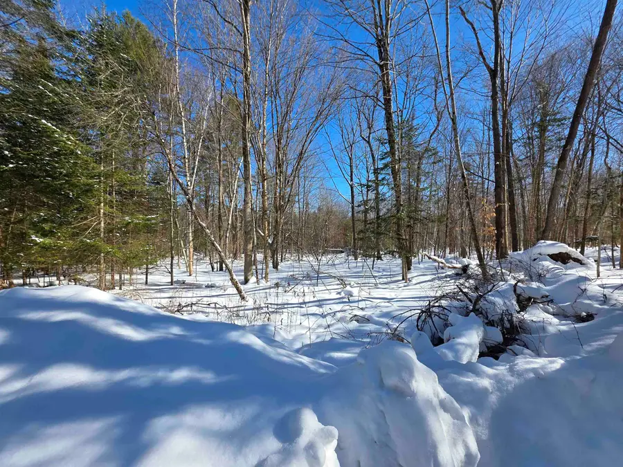 000 Milford Circle #029 & 030, Mountain Lakes, NH 03785 - #2