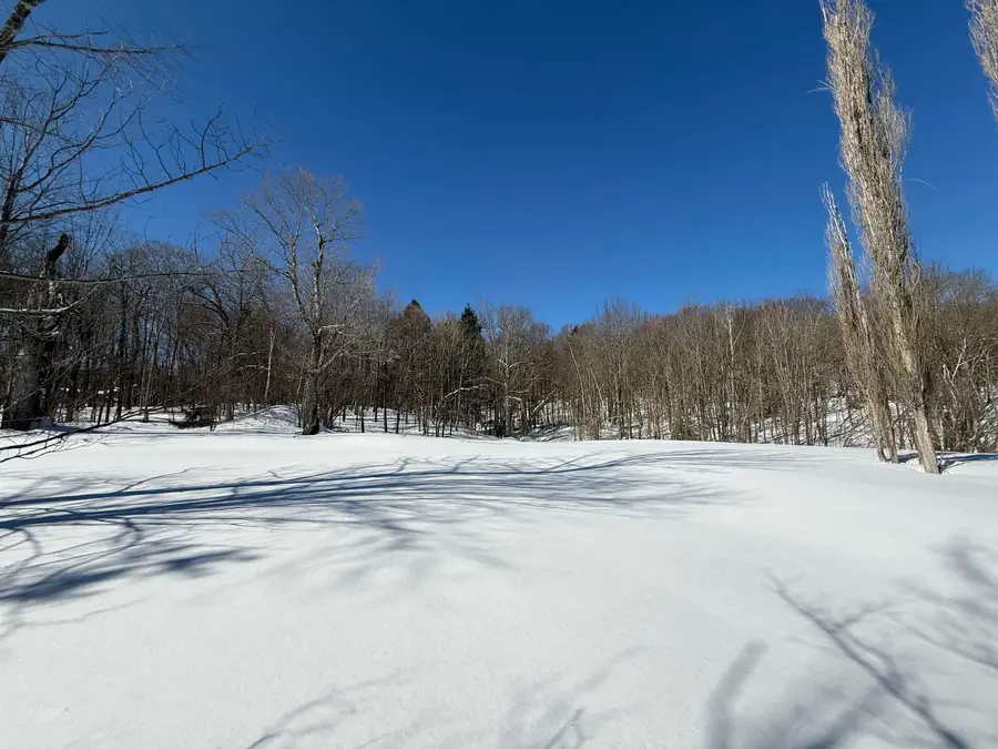 00 VT Route 11, Peru, VT 05152 - #2