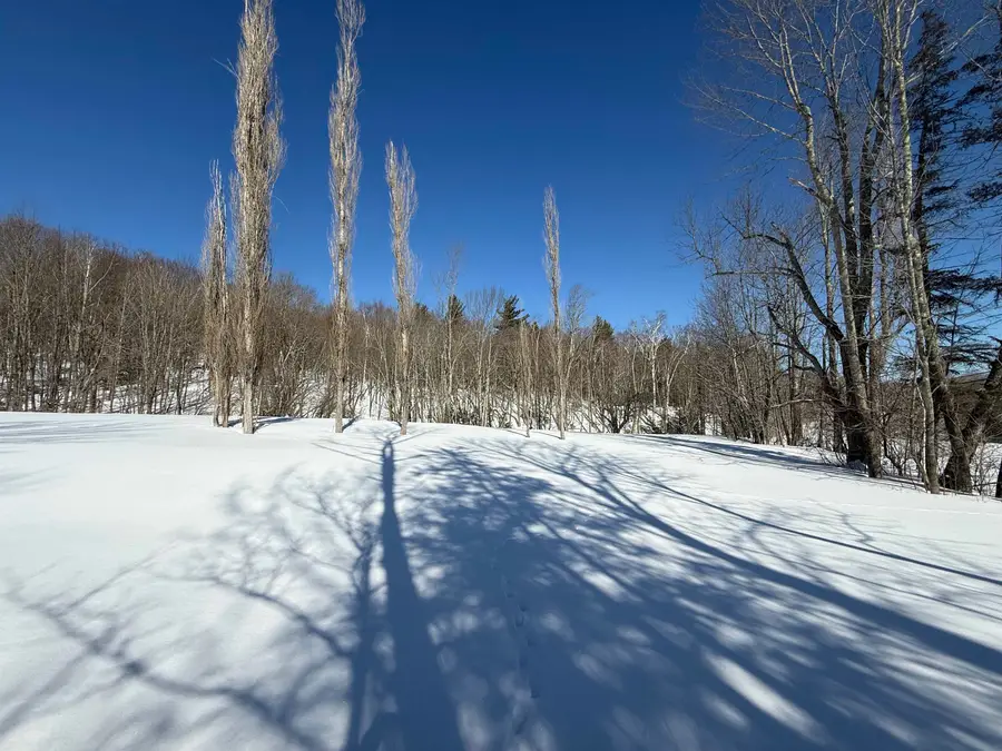00 VT Route 11, Peru, VT 05152 - #3