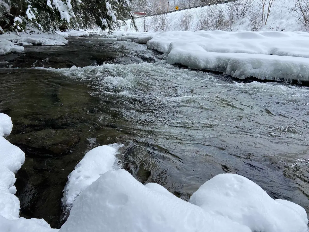 0 Fall Brook Road #5, Wheelock, VT 05851-000 - #1