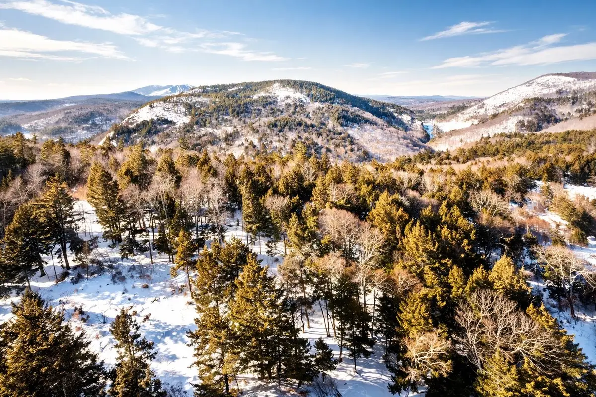 00 Turkey Mountain Road, Jamaica, VT 05343 - #1