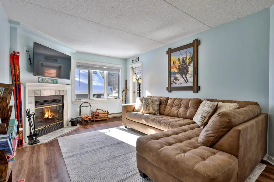 71 Alpine Drive #D-306, Killington, VT 05751 - #3