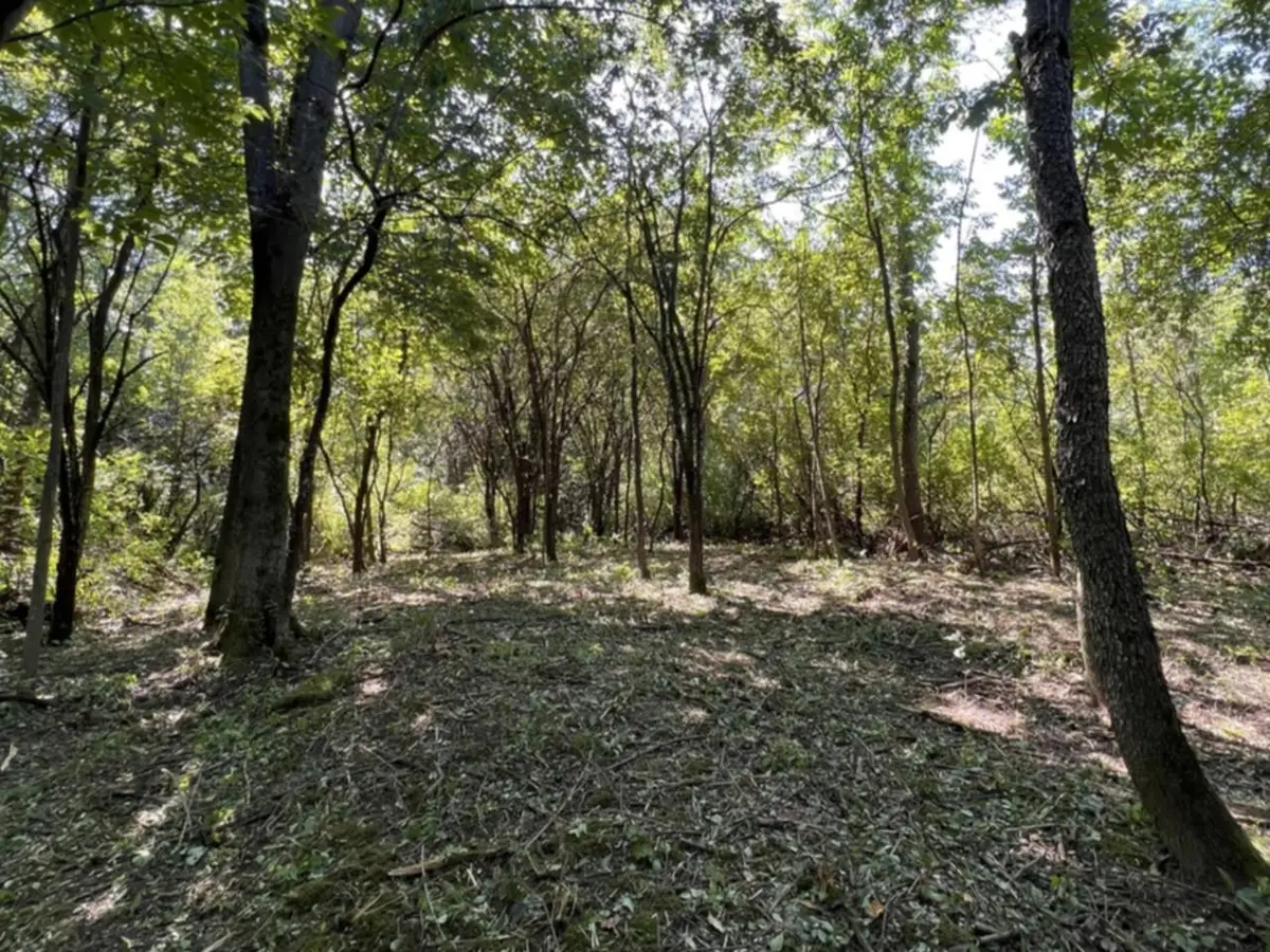 0 Hemenway Road, Bridport, VT 05753 - #1