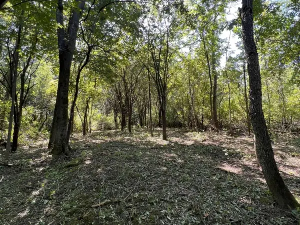 0 Hemenway Road, Bridport, VT 05753