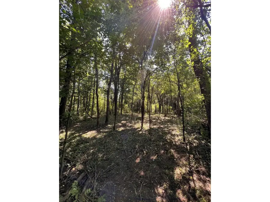 0 Hemenway Road, Bridport, VT 05753 - #3