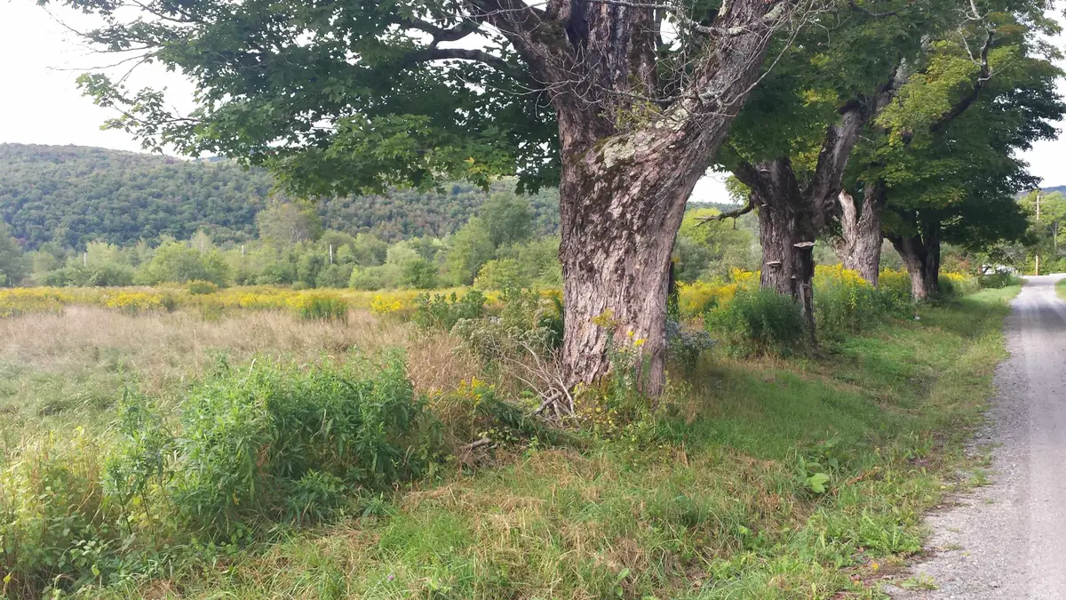 0 Old County Lane, Readsboro, VT 05350 - #1