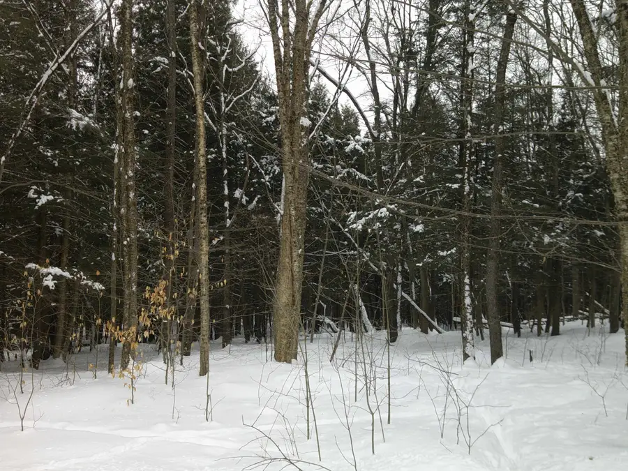 0 Plot Road #2, Johnson, VT 05656 - #3