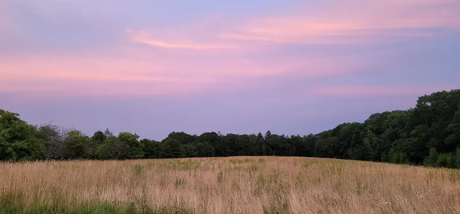 00 Bingham Road, Gilmanton, NH 03237 - #3