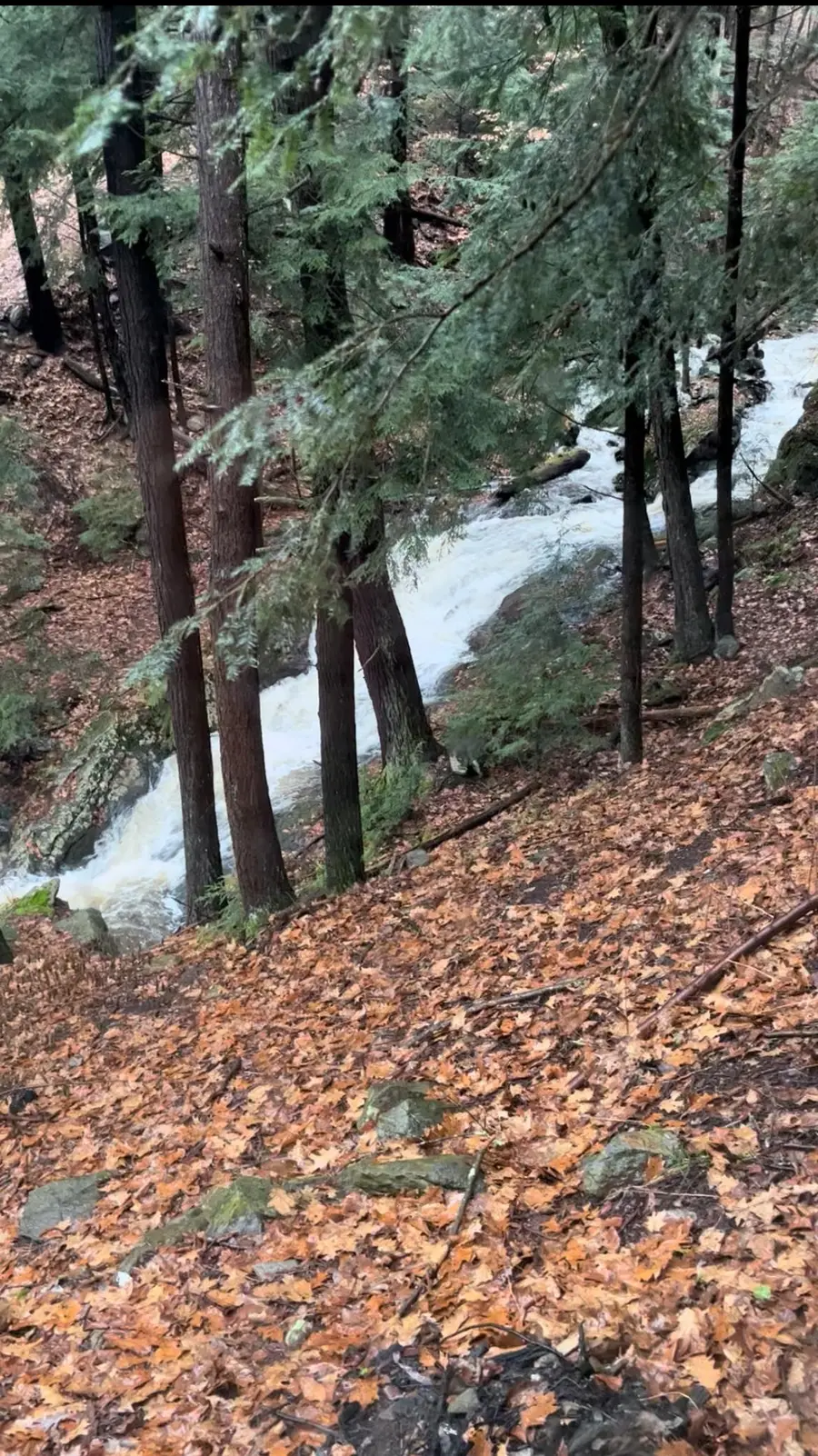 82 Scotts Drive, Charlestown, NH 03603 - #2