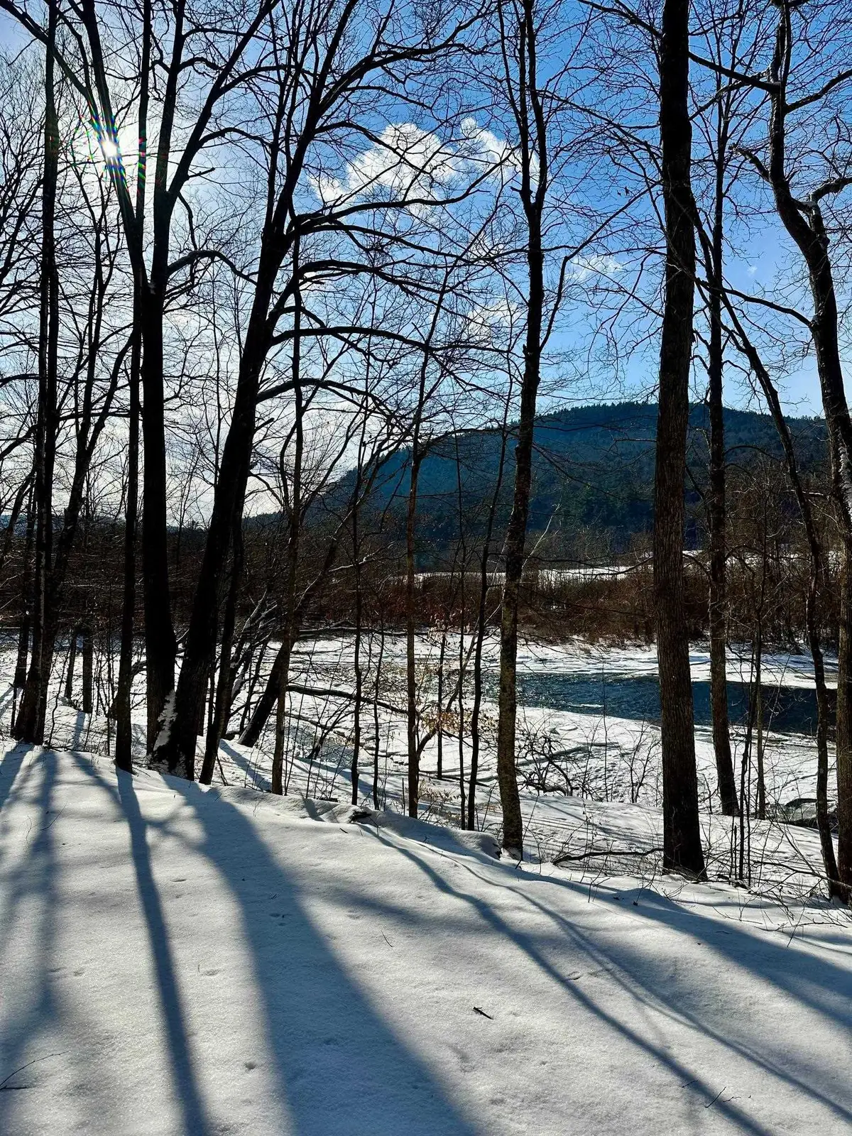 0 Ellen Ware Road, Townshend, VT 05353 - #1