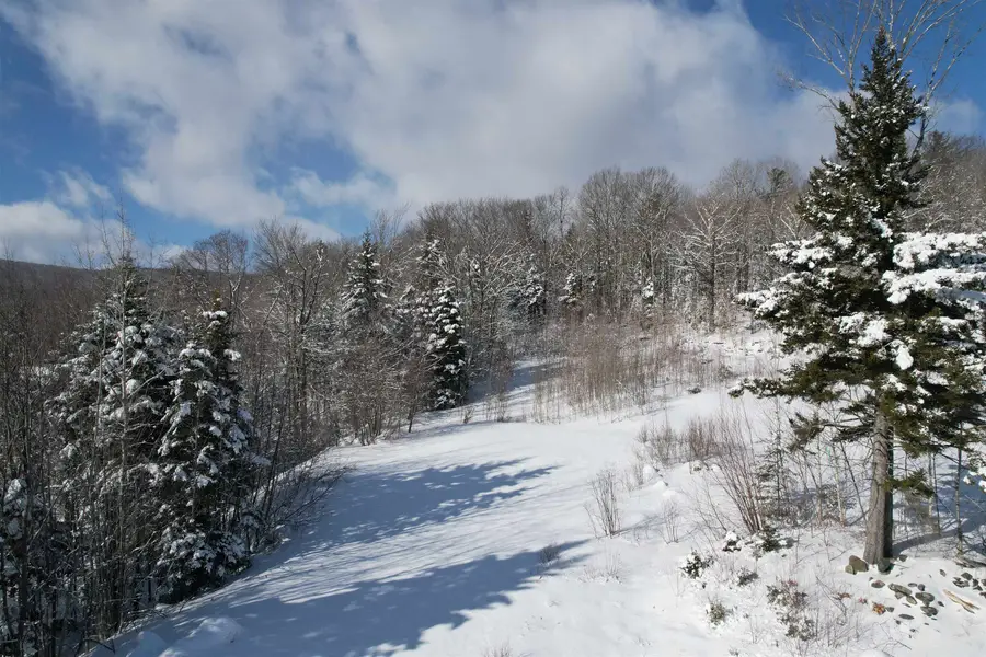 5 Pinnacle View Road, Dover, VT 05356 - #3