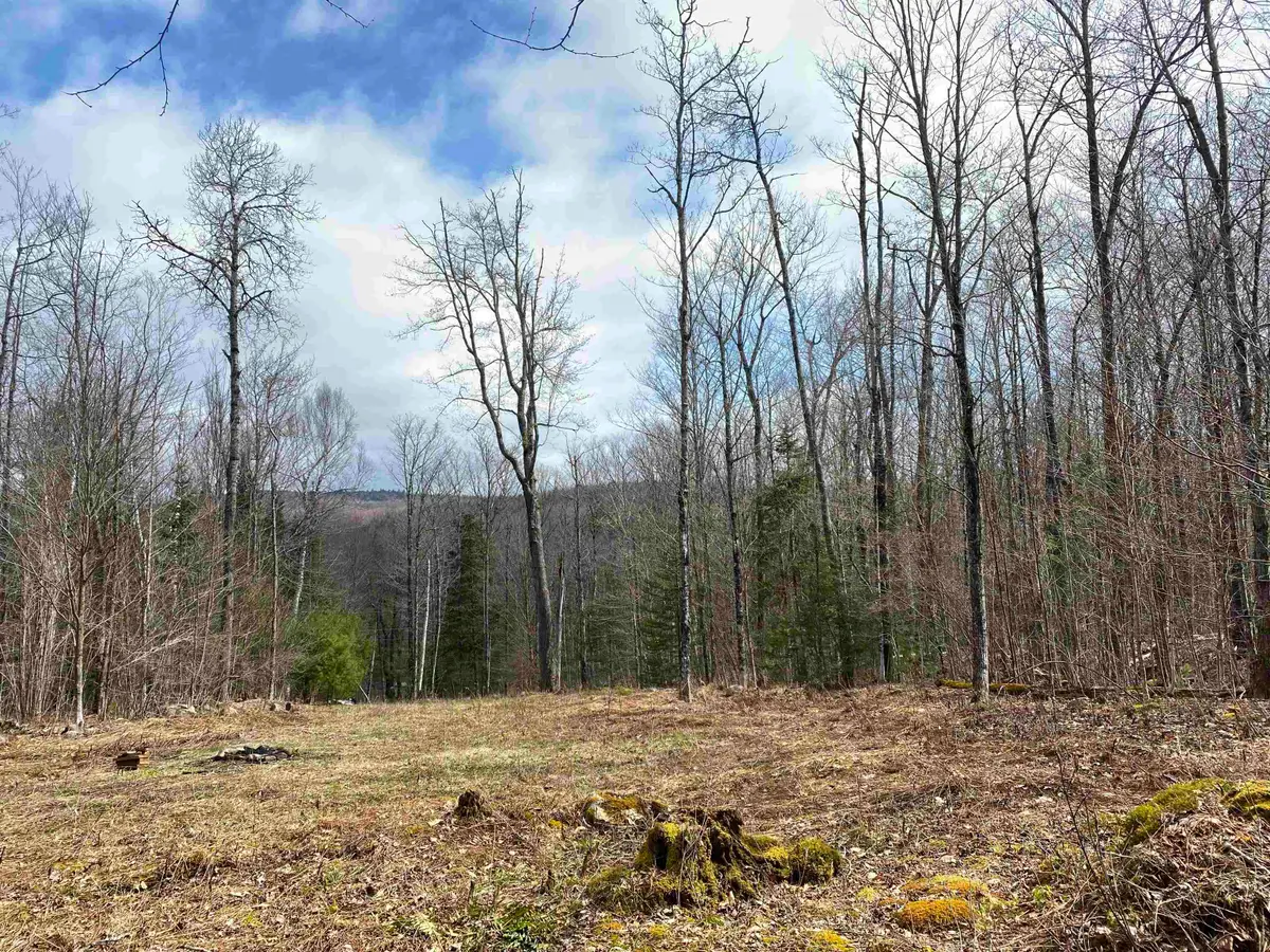 00 Miller Pond Road, Grantham, NH 03753 - #1