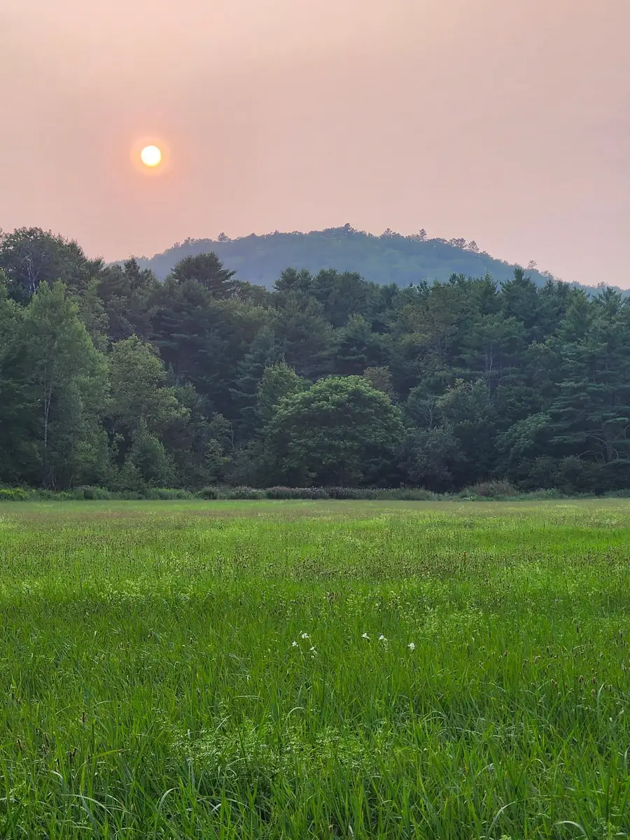 Mill Brook Road #Lot  4, Landaff, NH 03585 - #2