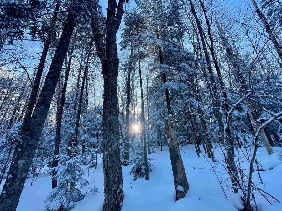 00 Mountain Road, Burke, VT 05832 - #3