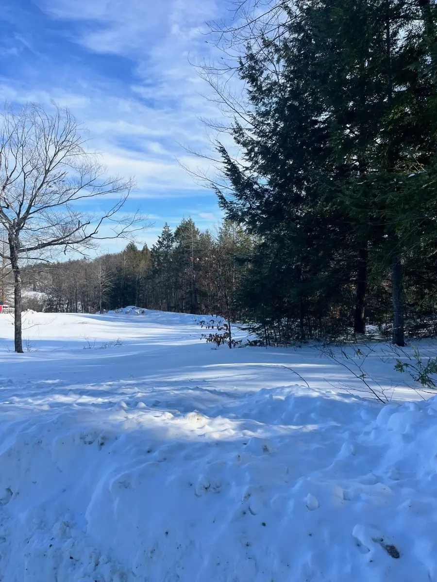 Lot 70.1 N Old Branch Road, Antrim, NH 03440 - #2