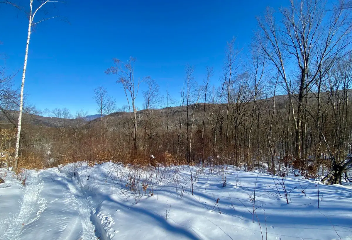 Lot 1 Marshall Road, Duxbury, VT 05676 - #1