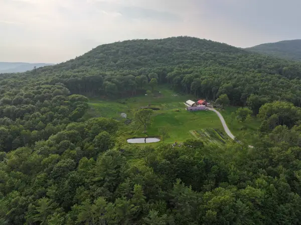 109 Morgan Road, Tinmouth, VT 05777