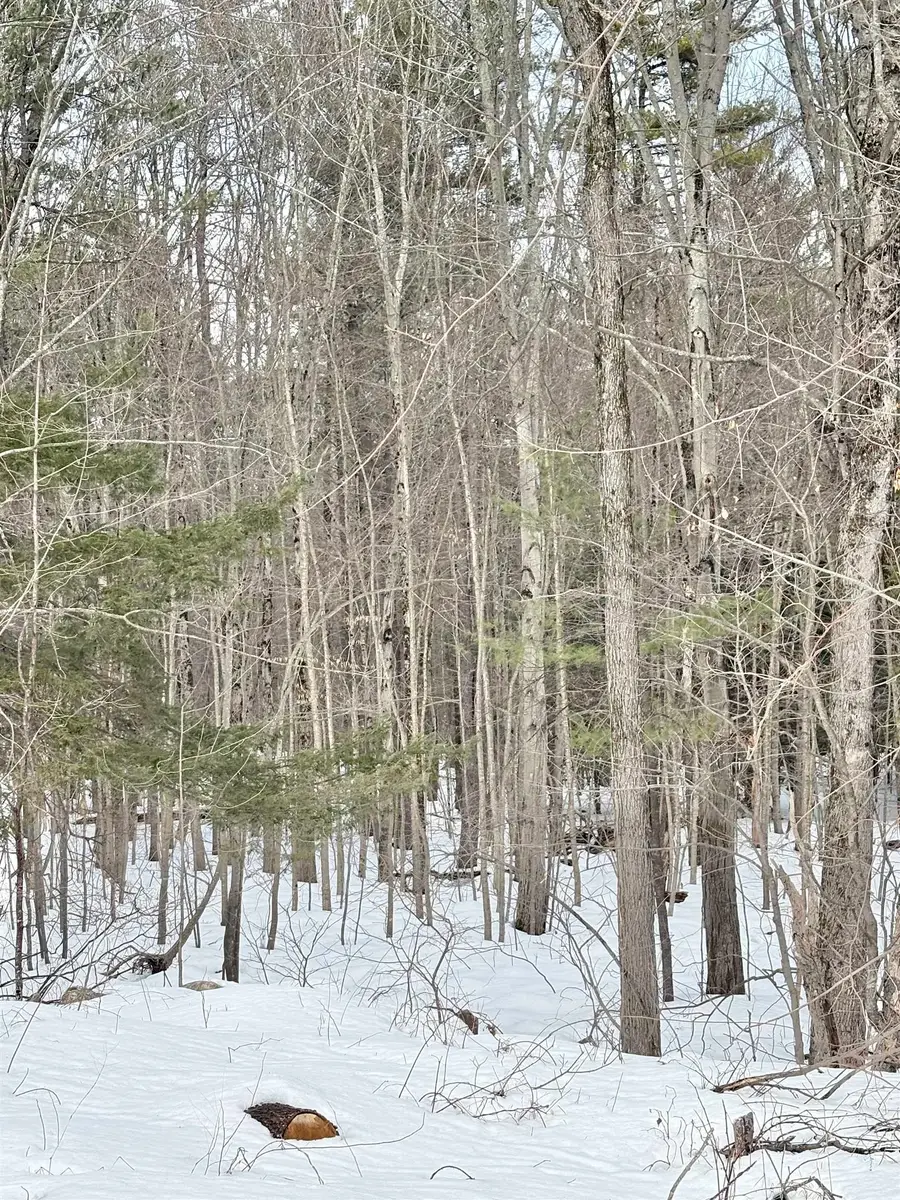 79-1 Currier Road, Candia, NH 03034 - #3