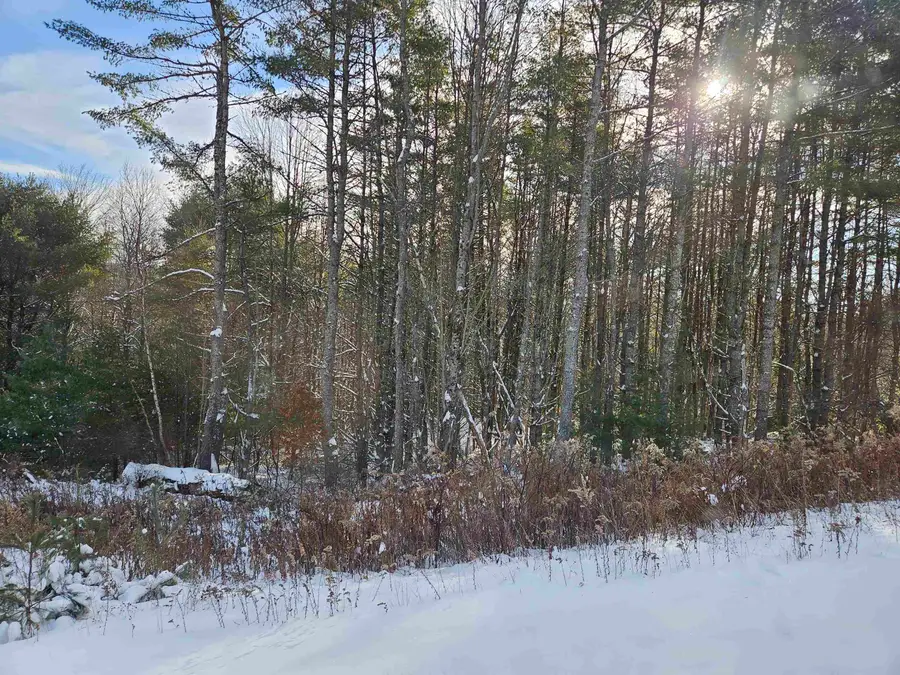 Lot 3.1 Off Parker Road, Lisbon, NH 03585 - #3