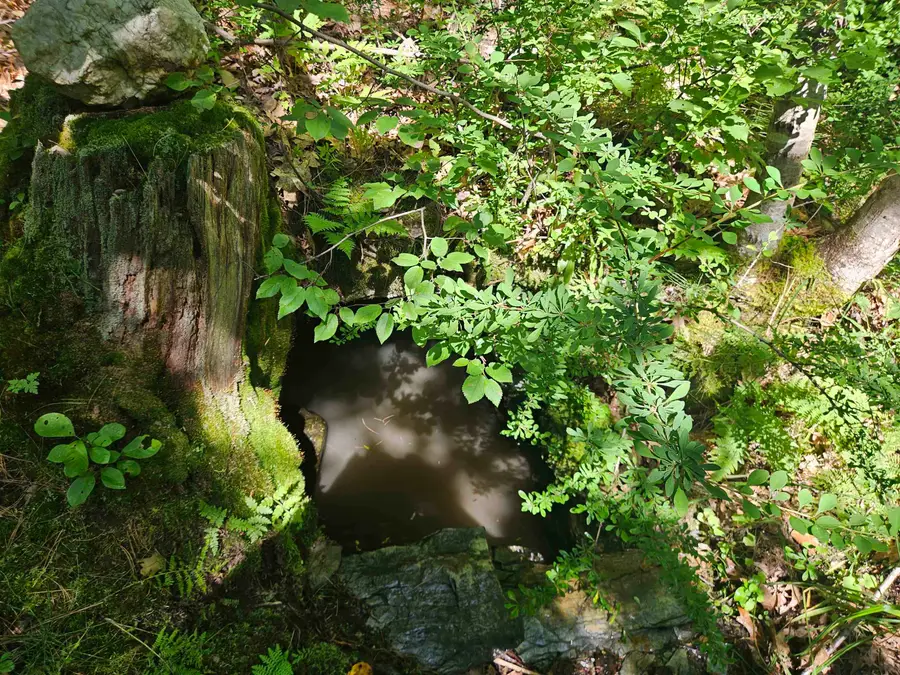 Lot 3.2 Off Parker Road, Lisbon, NH 03585 - #3