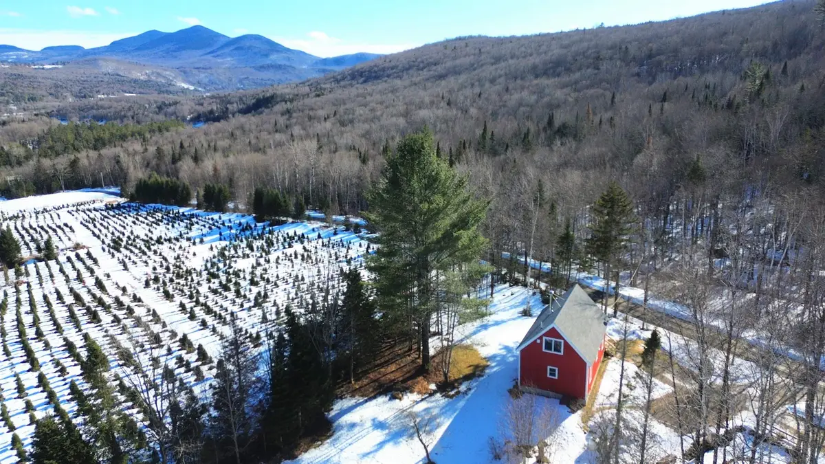 374 Crank Road, Bloomfield, VT 05905 - #1