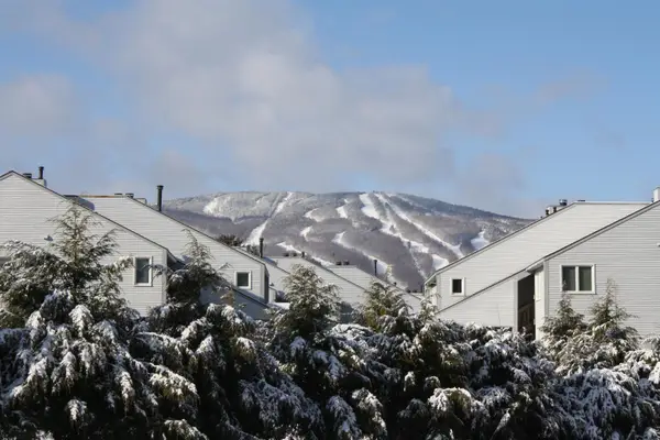 32 Route 103 South #F1, Ludlow, VT 05149