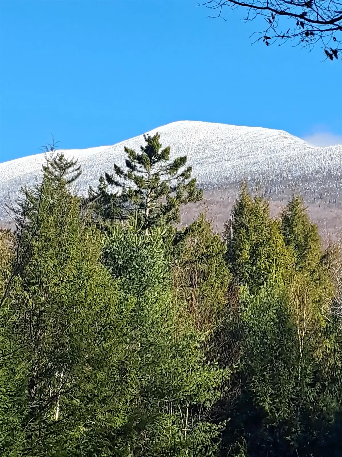 00 Stimson Road, Warren, NH 03279 - #1