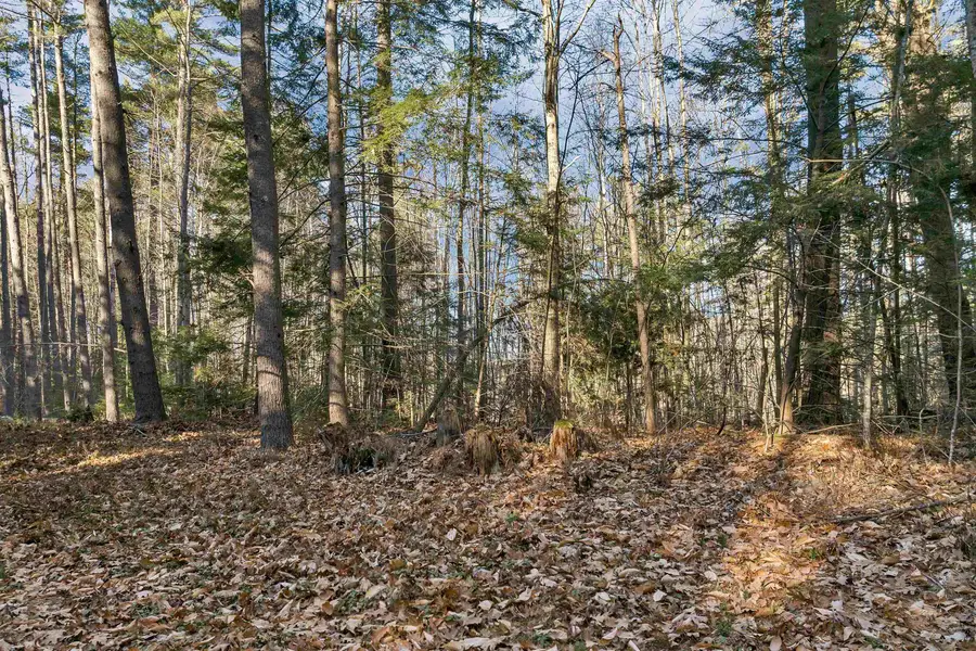 Camp Road #14, Wolfeboro, NH 03894 - #2