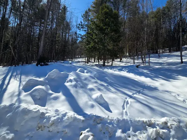 00 VT Rte 12 #Lot 2, Barnard, VT 05031