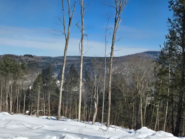 00 VT Rte 12 #Lots 1-2, Barnard, VT 05031