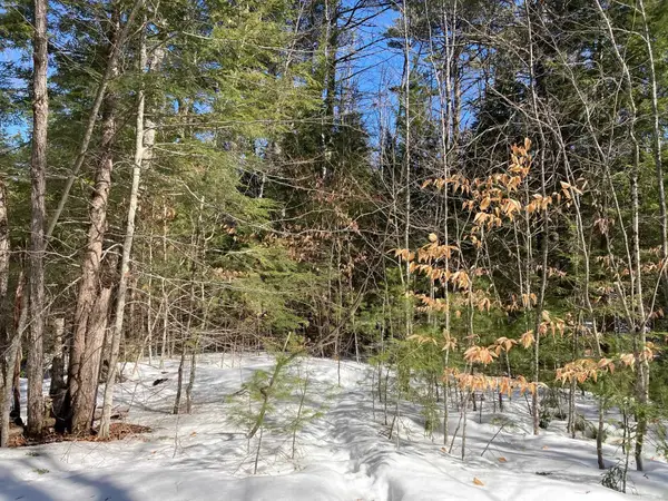 0 Henderson Road #Map 272/Lot 42, Conway, NH 03818