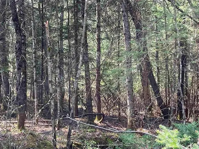 Simms Stream Road, Columbia, NH 03576 - #3