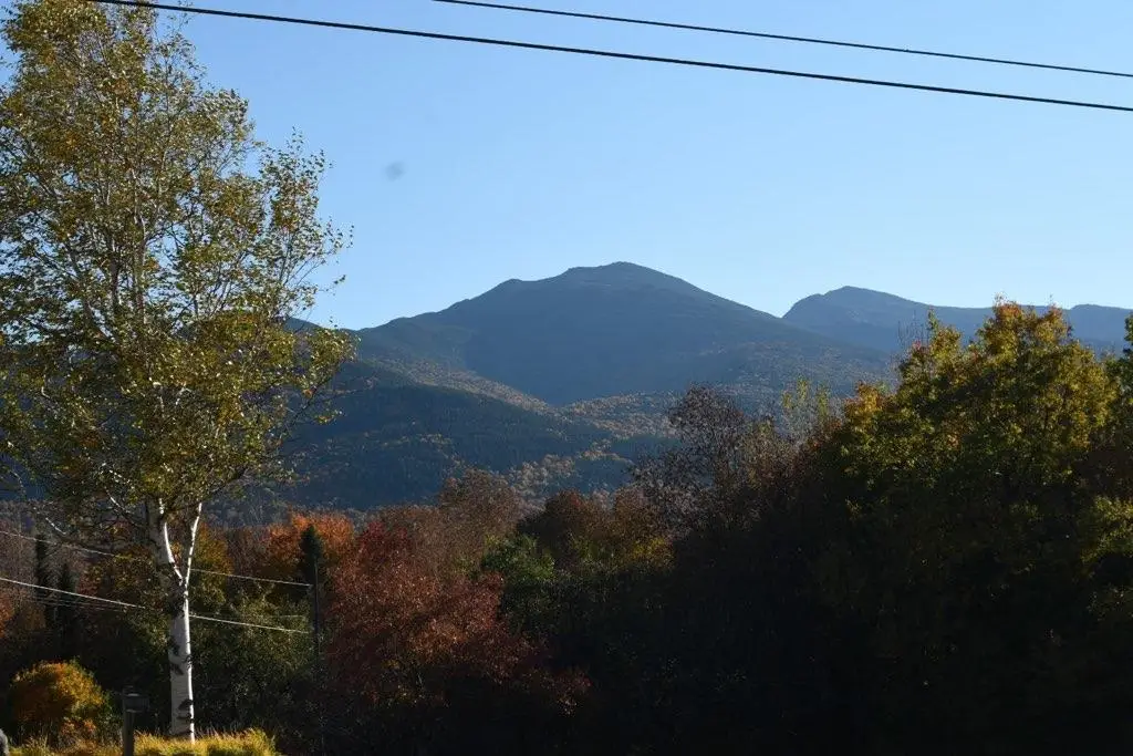 1 Cote Acres Road #48I, Randolph, NH 03593 - #1