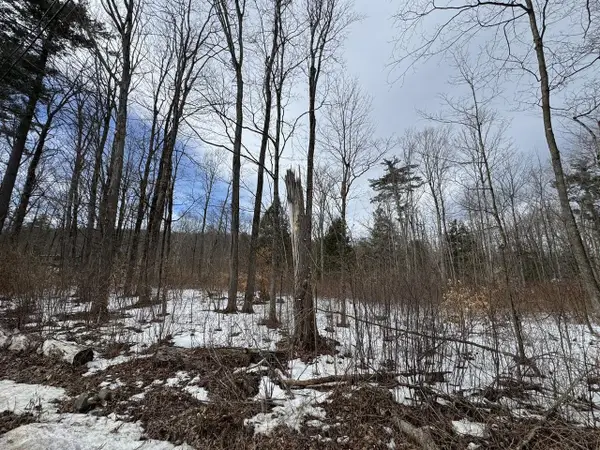 17 Chamberlain Drive, Salisbury, VT 05769