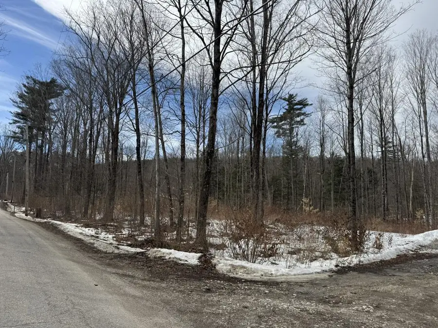 17 Chamberlain Drive, Salisbury, VT 05769 - #2