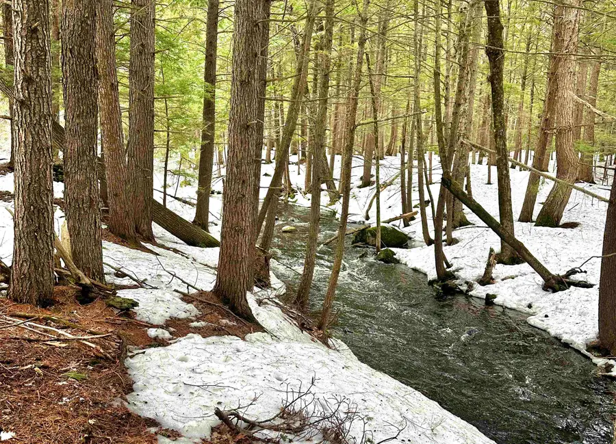 336 Old Jaffrey Road #Lot R3-12-2, Peterborough, NH 03458 - #3