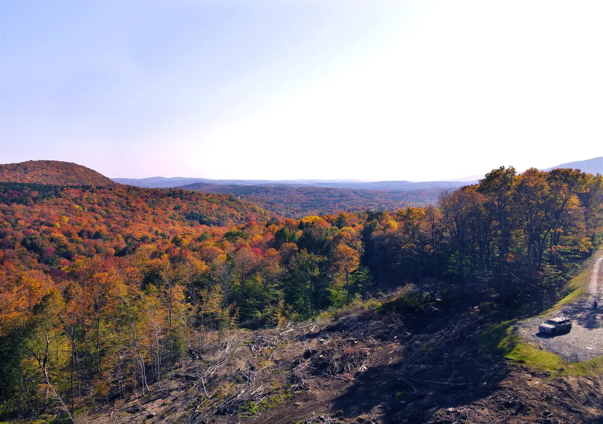 10 Overlook Drive, Dover, VT 05356 - #1