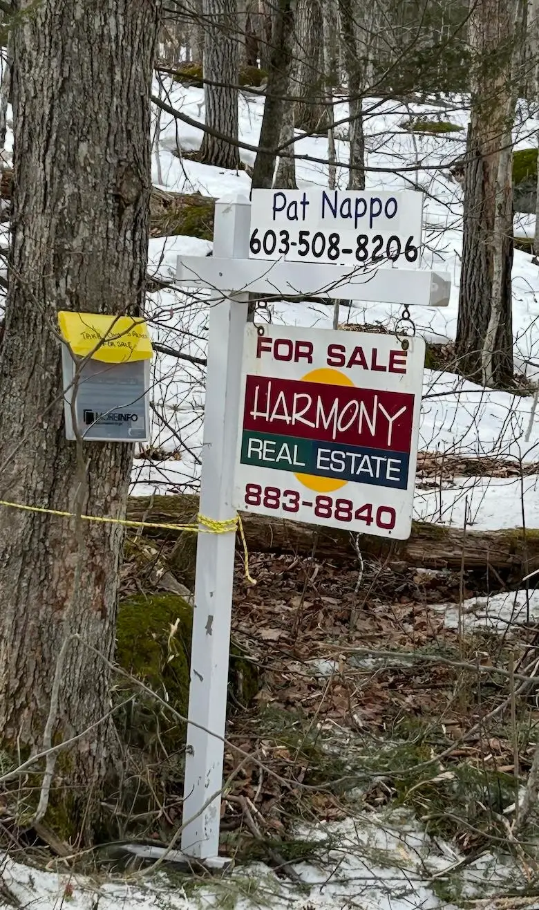 20-46 Dole School House Road, Washington, NH 03280 - #1